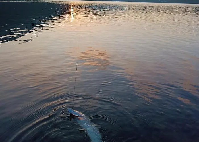 Dobry Pocit Horne Oresany